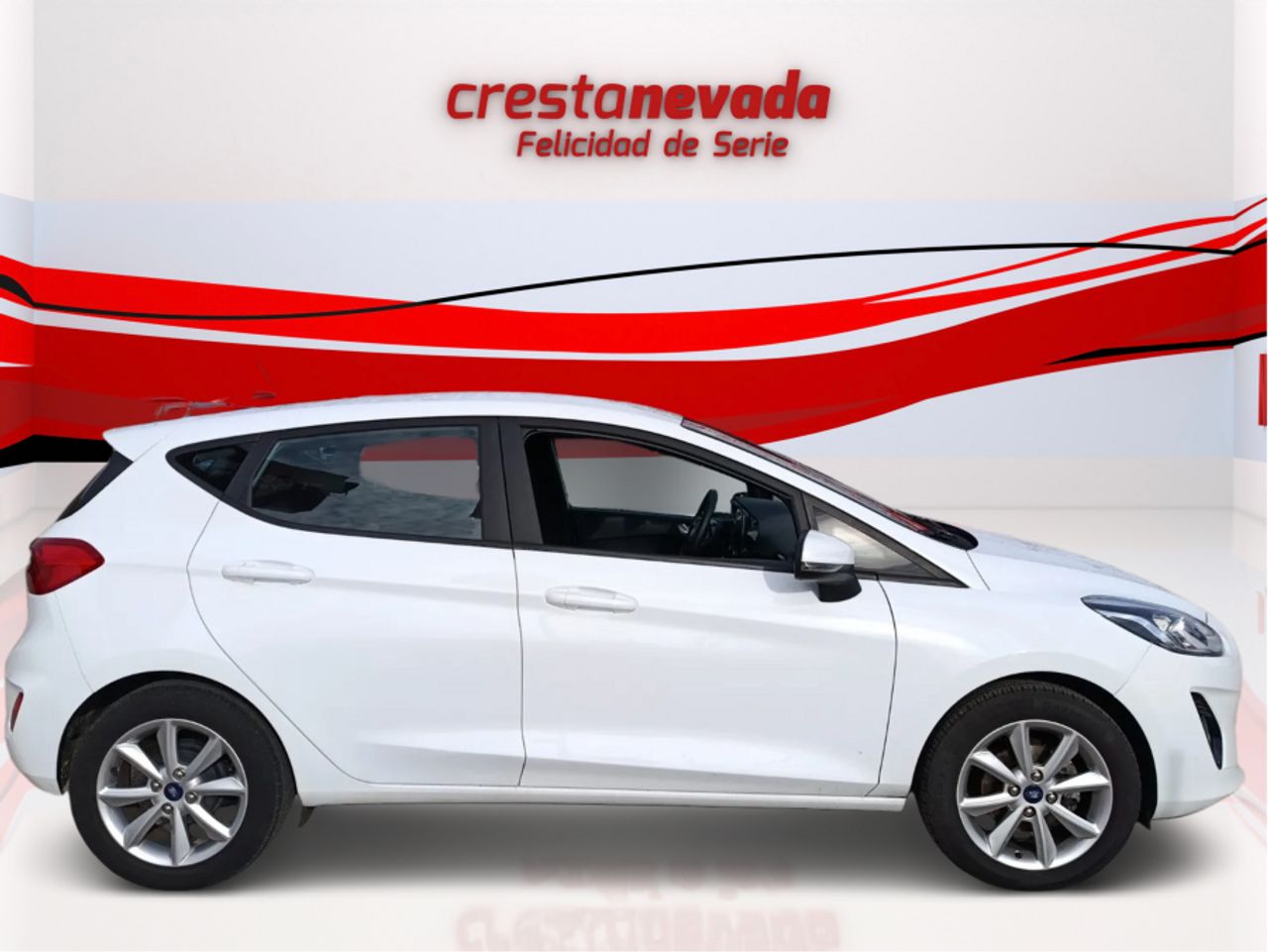 Ford Fiesta 1.5 TDCi 63kW 85CV Trend 5p - foto 3