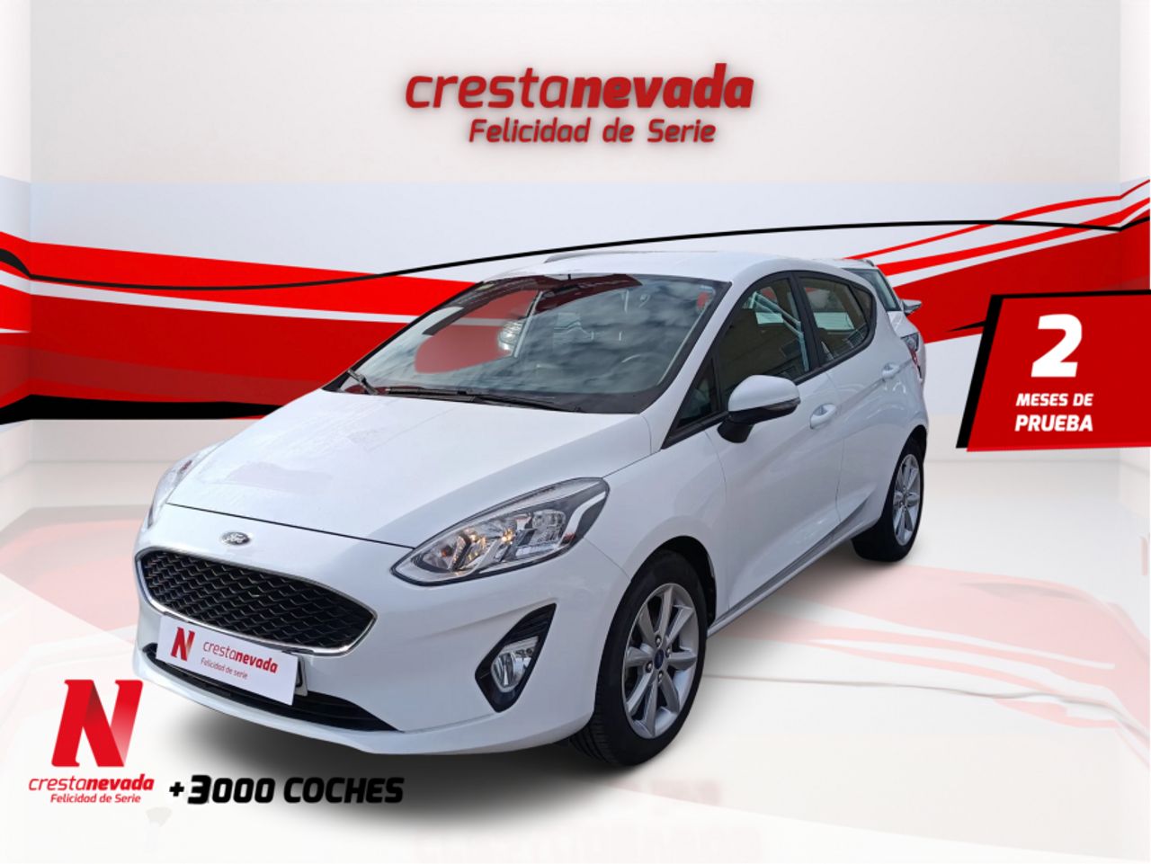 Ford Fiesta 1.5 TDCi 63kW 85CV Trend 5p