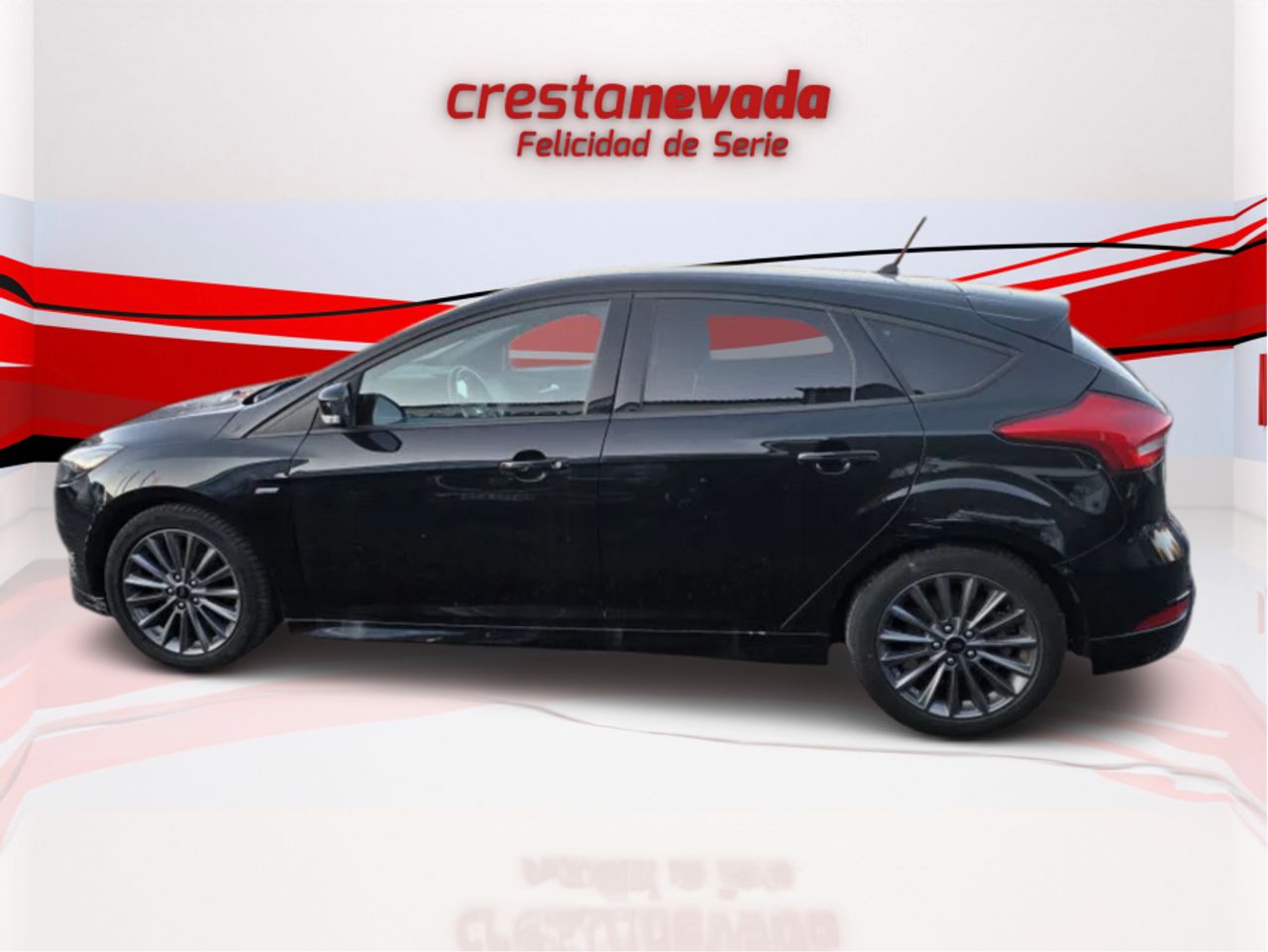 Ford Focus 1.5 TDCi E6 88kW 120CV STLine - foto 5