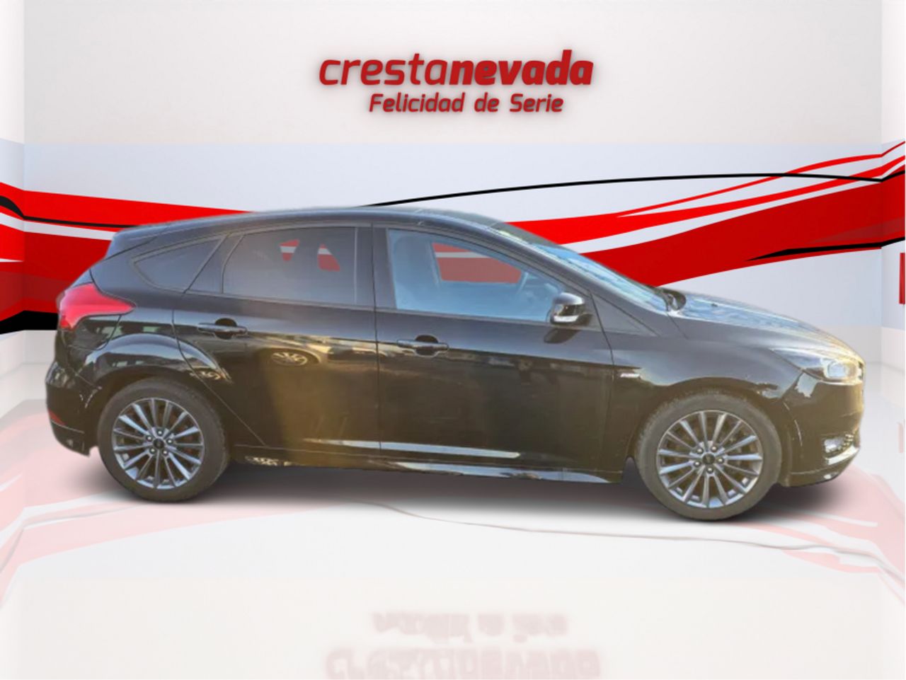 Ford Focus 1.5 TDCi E6 88kW 120CV STLine - foto 4