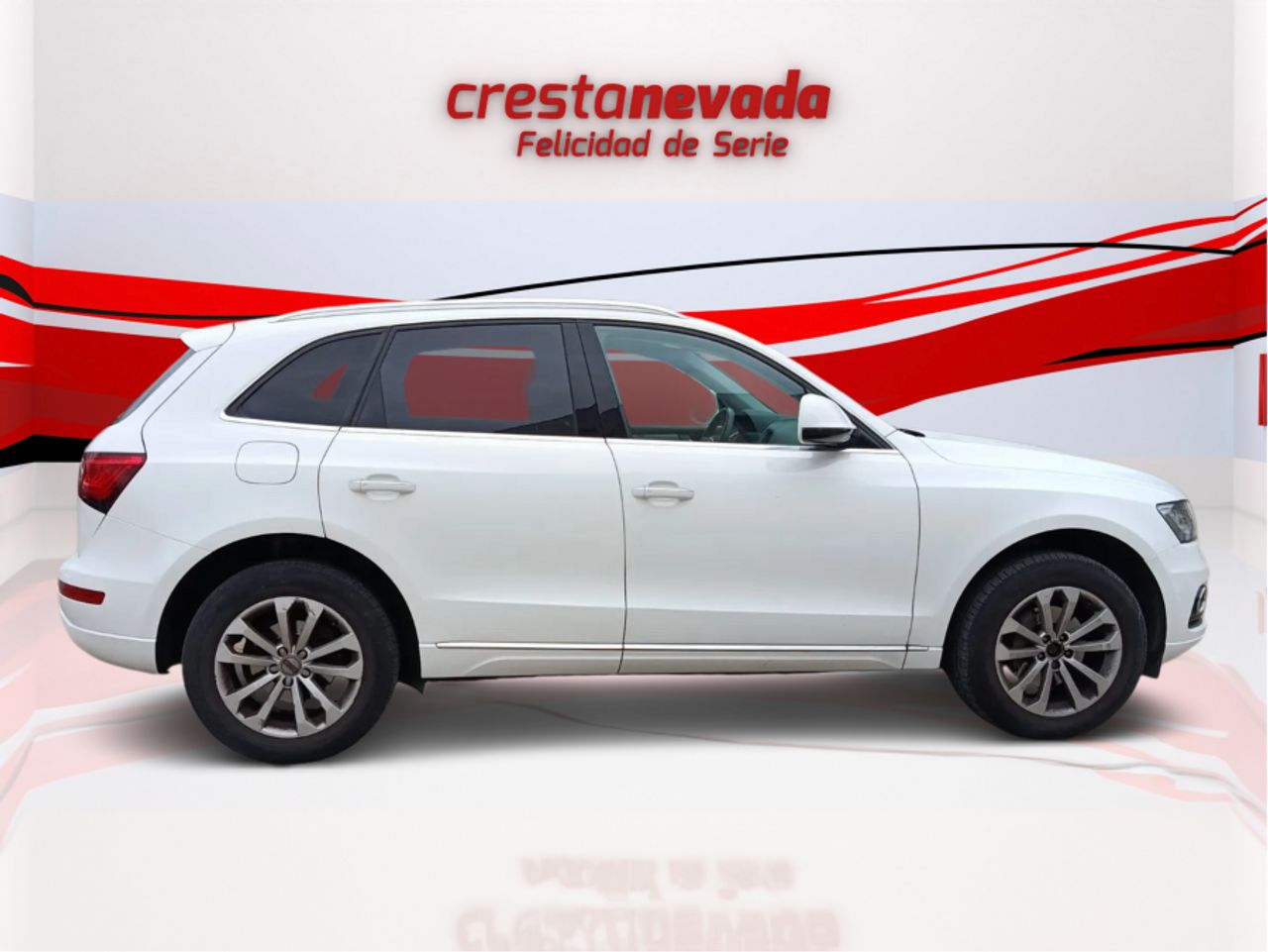Audi Q5 2.0 TDI 177CV quattro S tron Advanced ed - foto 4
