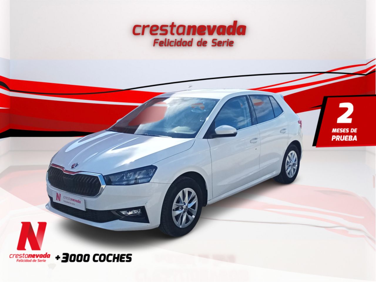 Skoda Fabia 1.0 MPI 59KW 80CV Selection