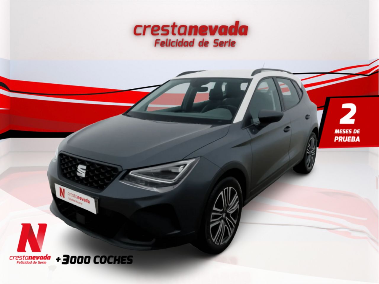 Seat Arona 1.0 TSI 81kW 110CV Style XL