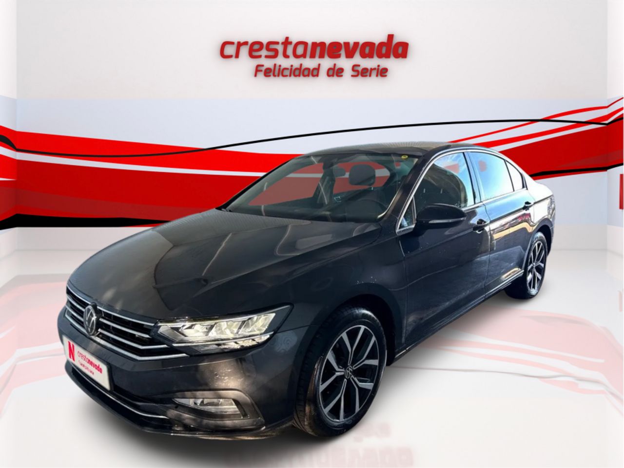 Volkswagen Passat Executive 2.0 TDI 110kW 150CV