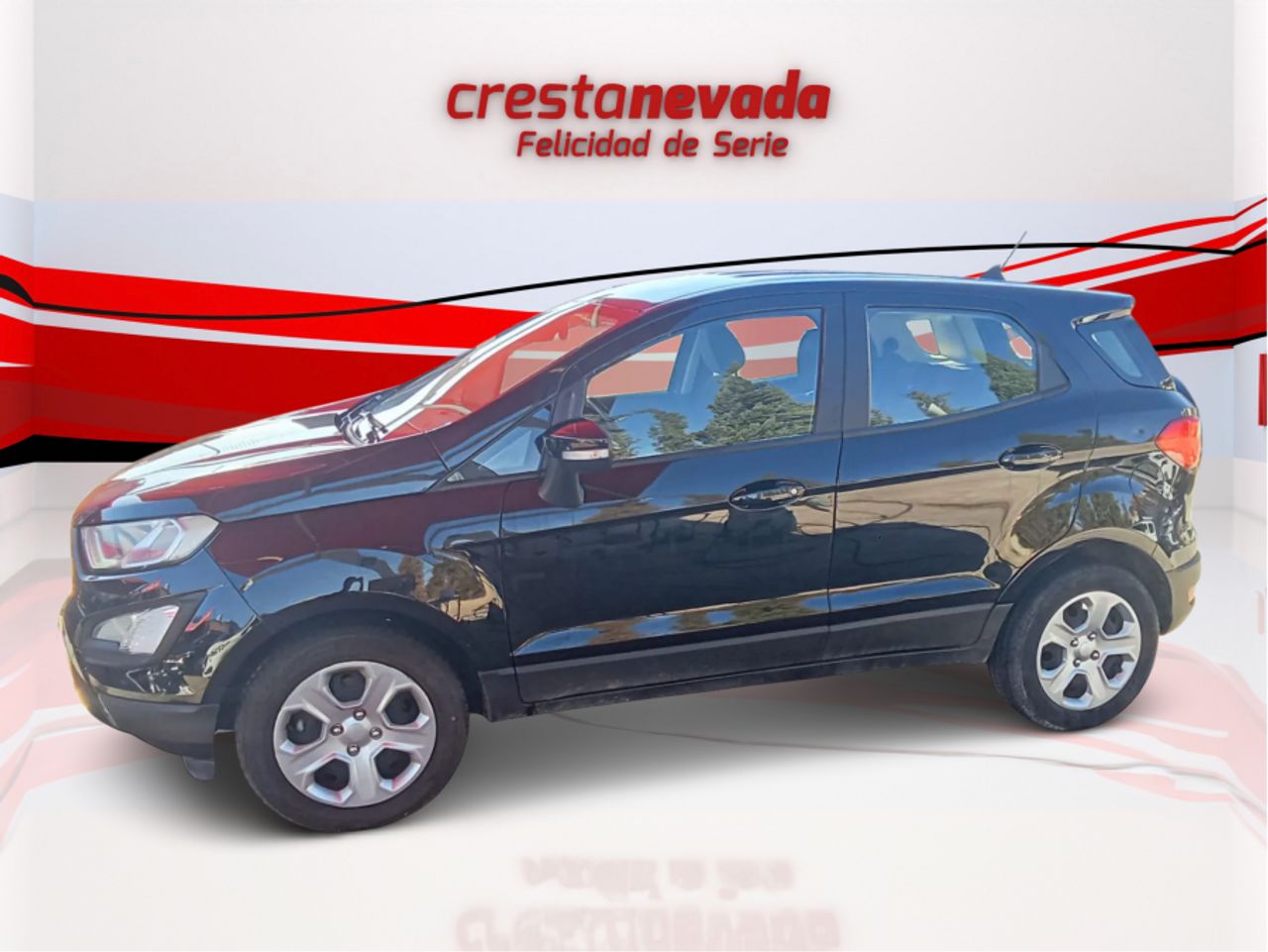 Ford Ecosport 1.5 TDCi EcoBlue 73kW SS Trend - foto 4