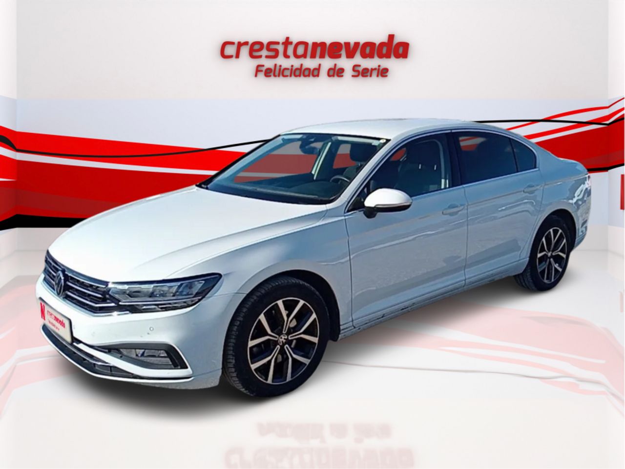 Volkswagen Passat Executive 2.0 TDI 110kW 150CV DSG