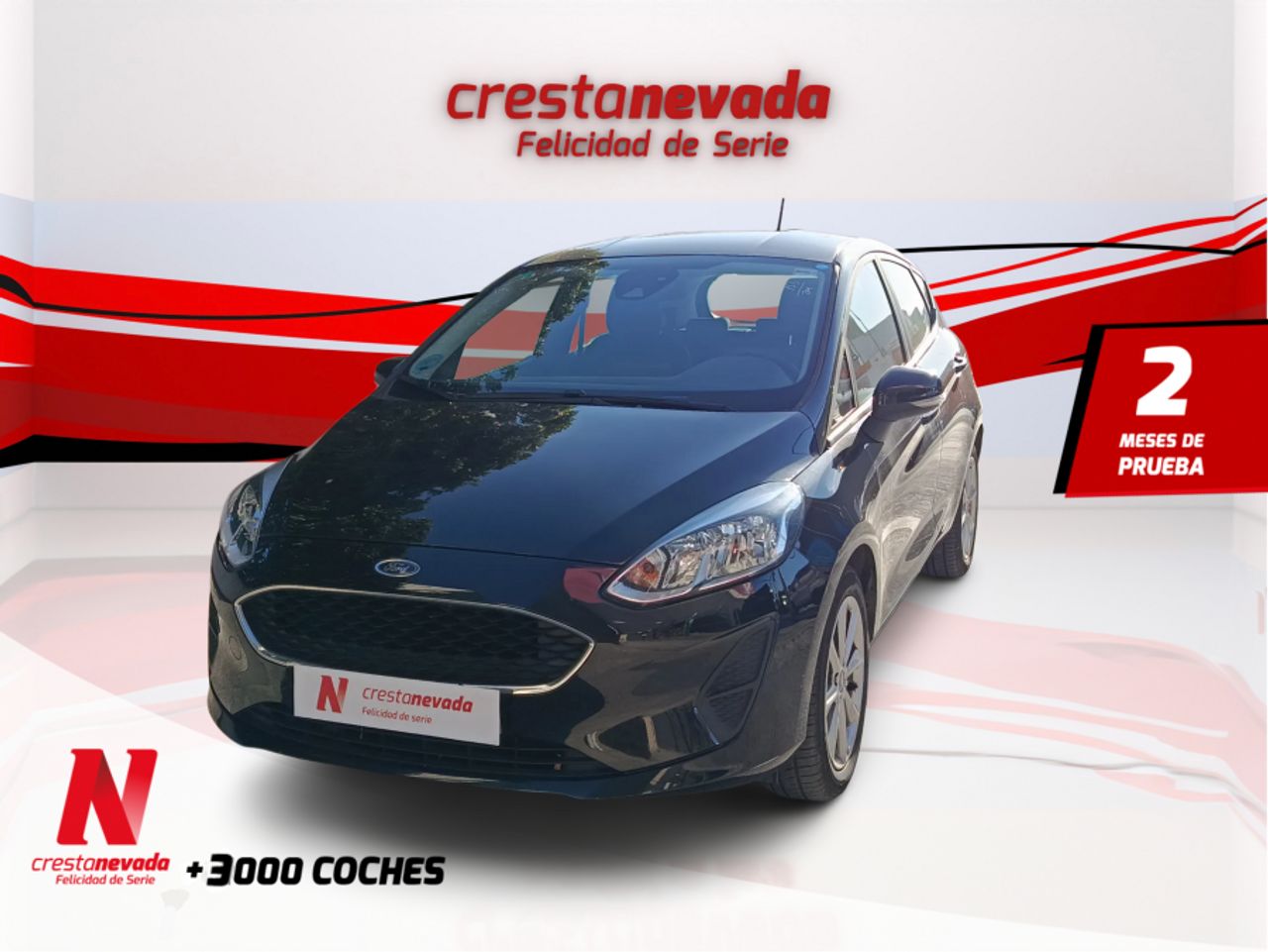 Ford Fiesta 1.5 TDCi 63kW Trend 5p