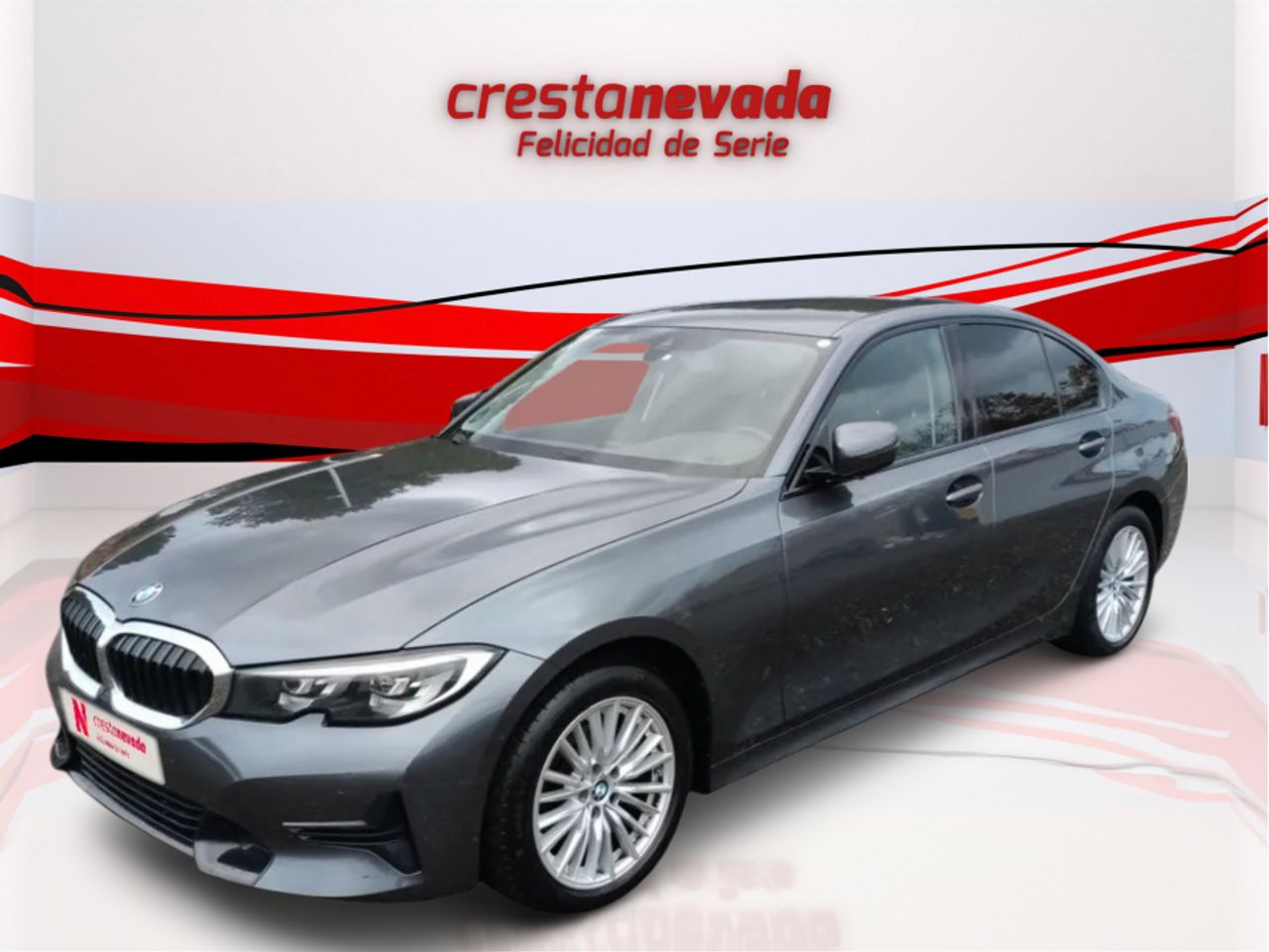 BMW Serie 3 318d Auto.