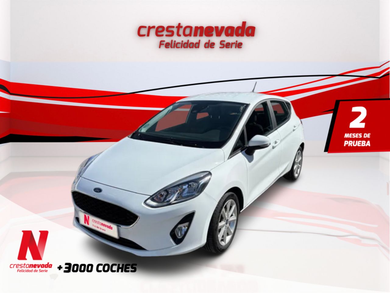 Ford Fiesta 1.5 TDCi 63kW 85CV Trend 5p