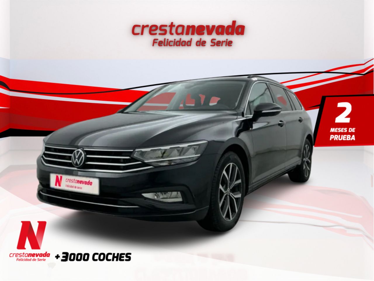 Volkswagen Passat Variant Executive 2.0 TDI 110kW 150CV