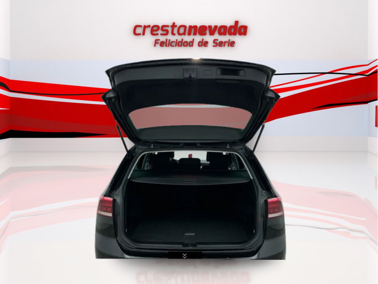 Volkswagen Passat Variant Executive 2.0 TDI 110kW 150CV - foto 5