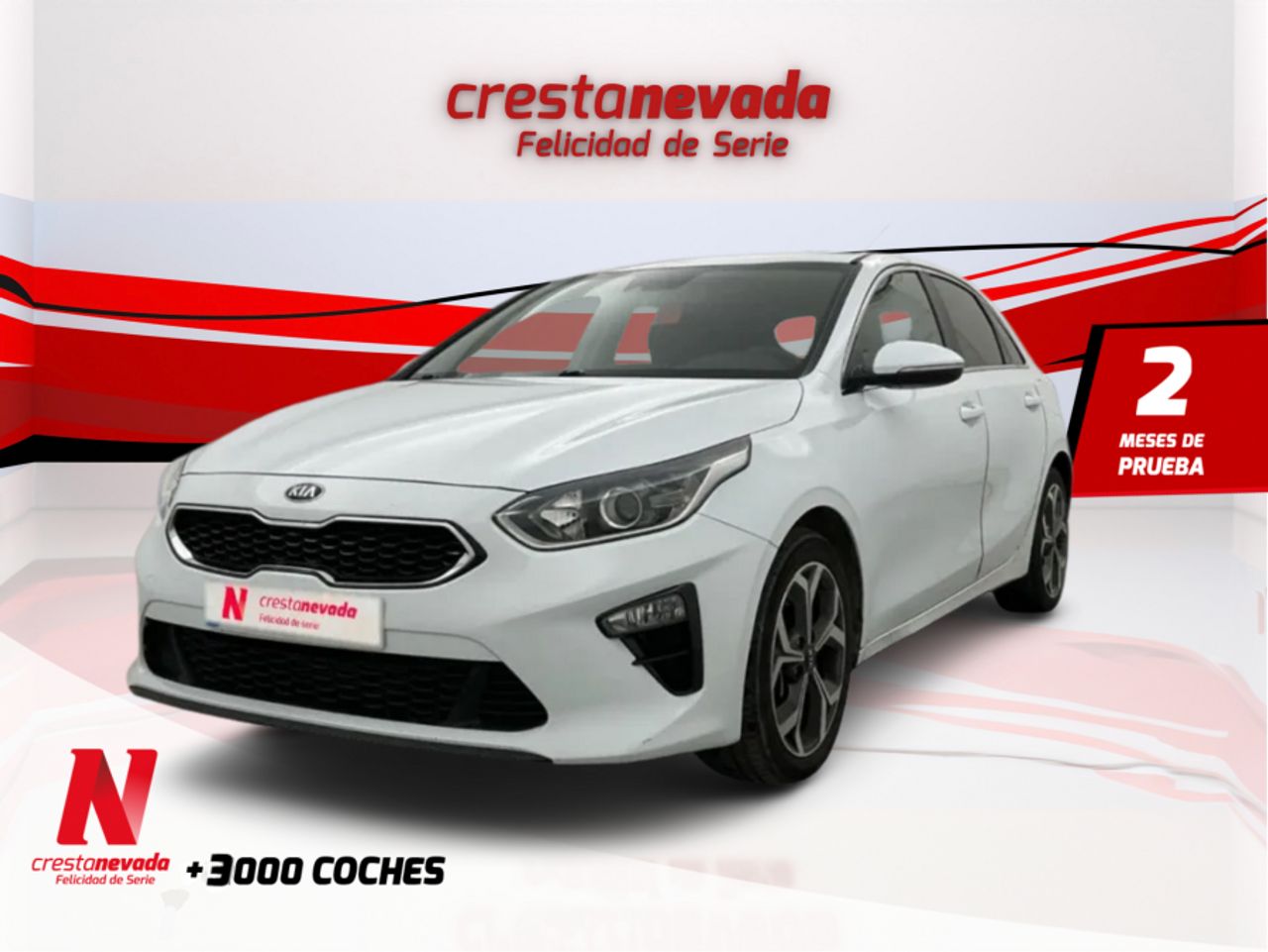 Kia Ceed 1.4 TGDi 103kW 140CV Tech