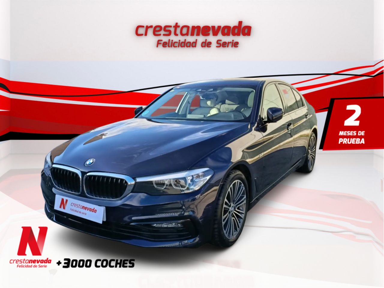 BMW Serie 5 520D