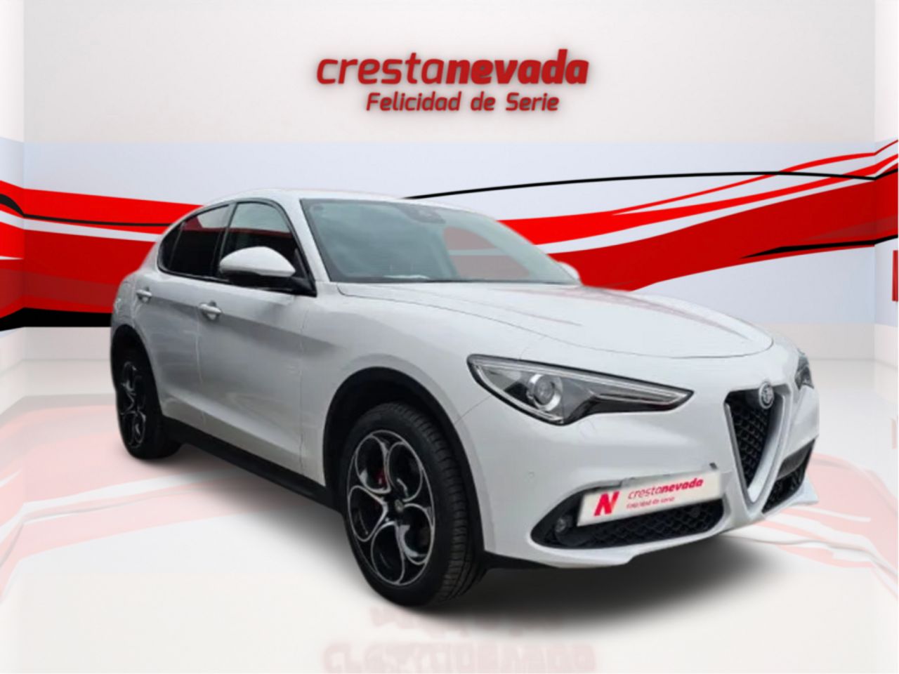 Alfa Romeo Stelvio 2.2 Diesel 154kW 210CV Executive Q4 - foto 3