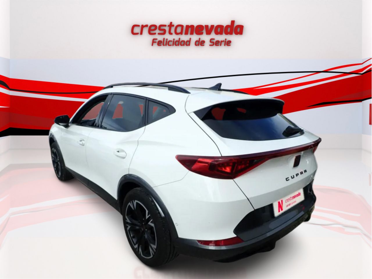 Cupra Formentor 2.0 TDI 110kW 150 CV 4Drive DSG - foto 2