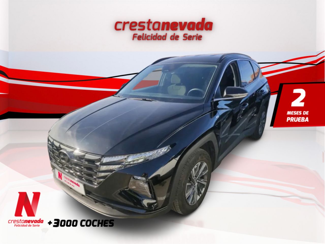Hyundai Tucson 1.6 CRDI 100kW 136CV 48V Maxx DCT