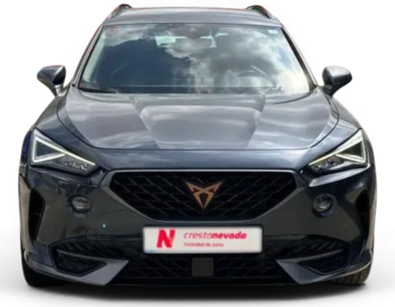Cupra Formentor 1.5 TSI 110kW 150 CV - foto 2