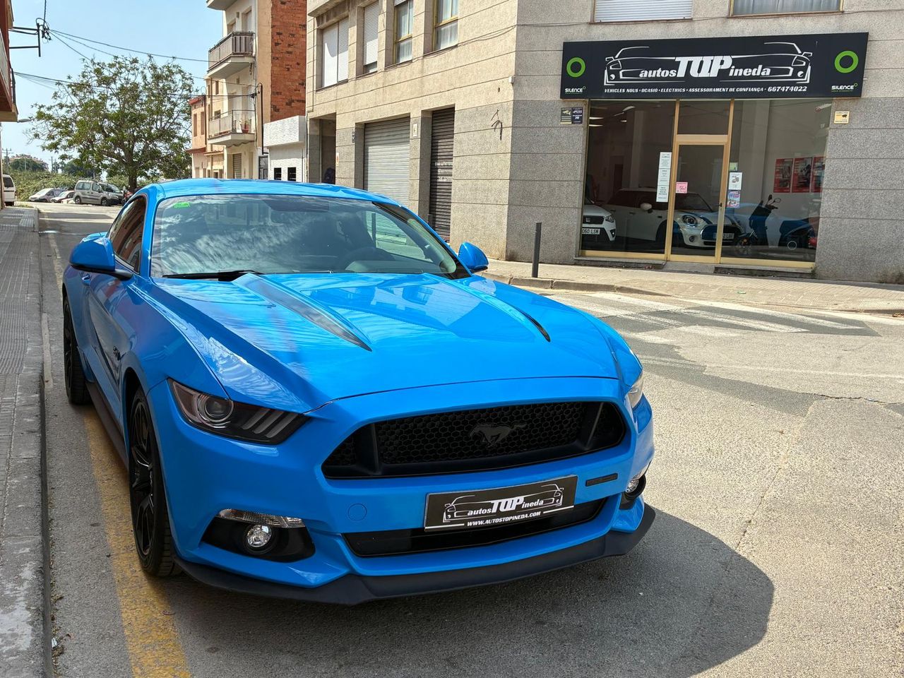 Ford Mustang Fastback GT 5.0 Ti-VCT V8 310 kW