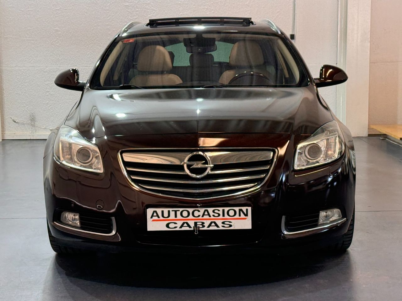 opel insignia  2011 / foto grande (2)