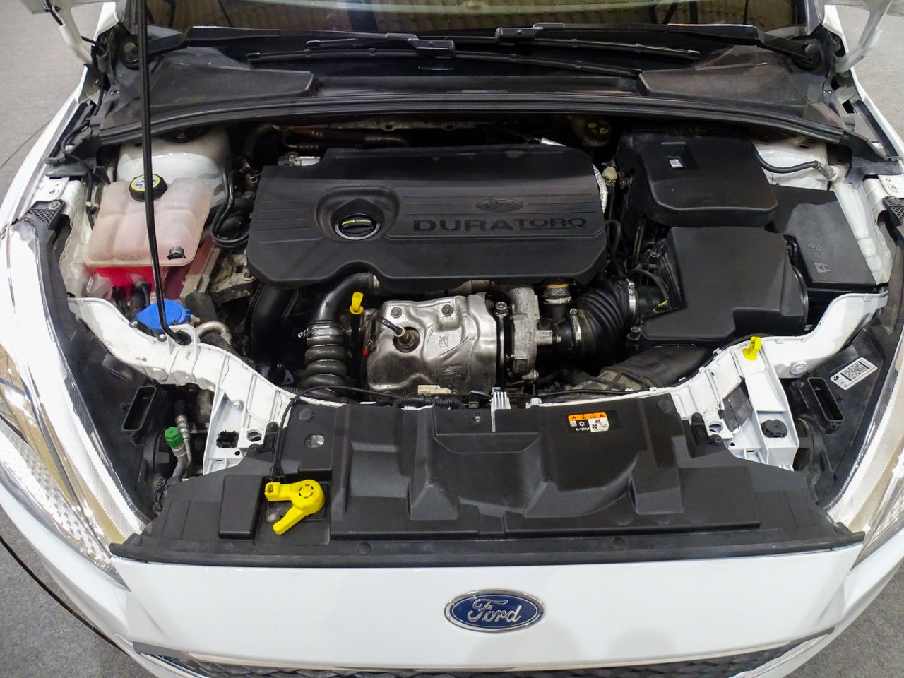 Ford Focus 1.5 TDCi 88kW ( 120cv ) Trend+  - Foto 2