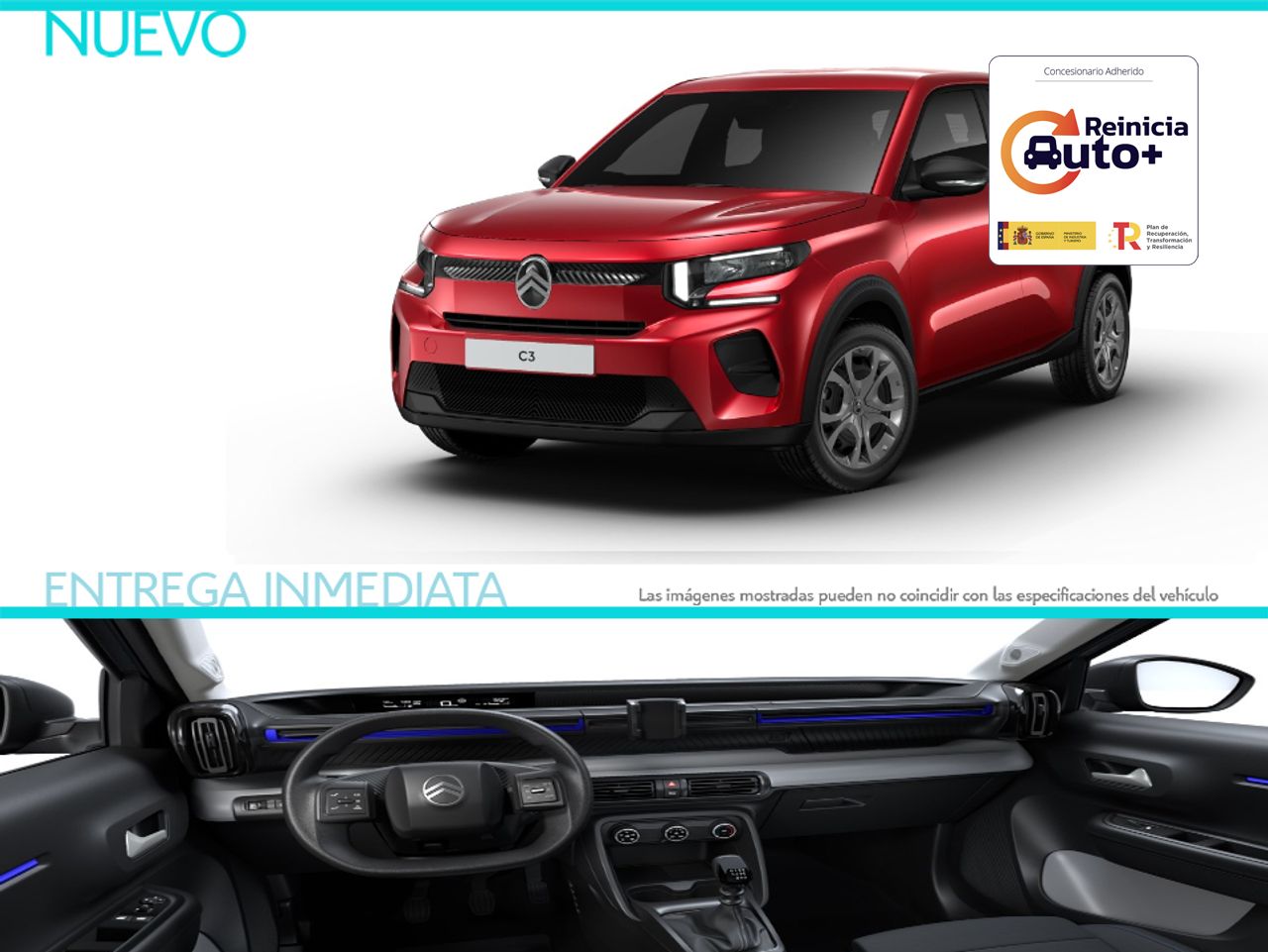 Cinturon tous  de segunda mano - citroën c3 2025 /