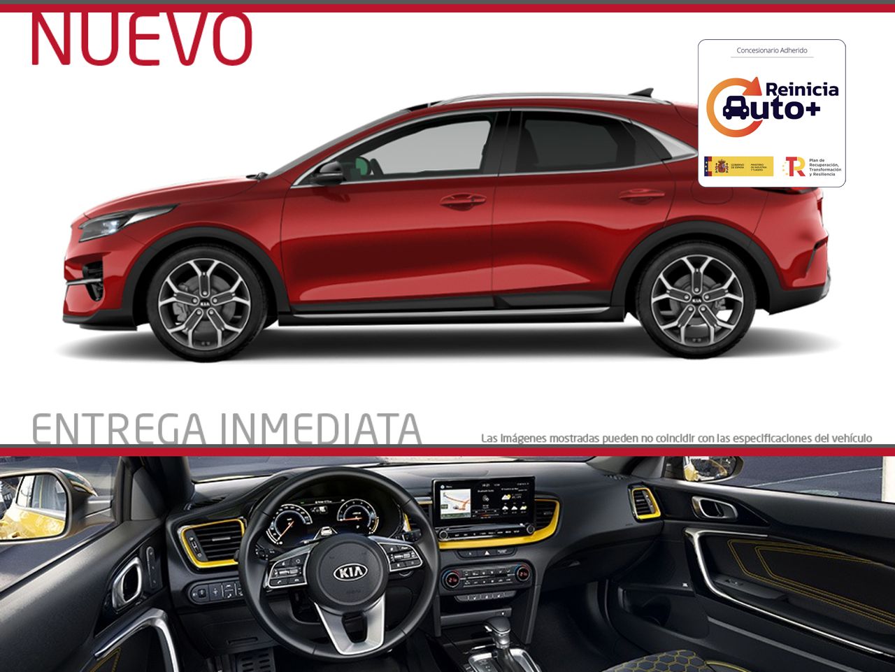 Foto kia ceed 2025 /