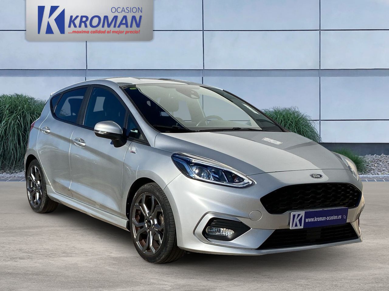 Experto sanador  de segunda mano - ford fiesta 2020 /