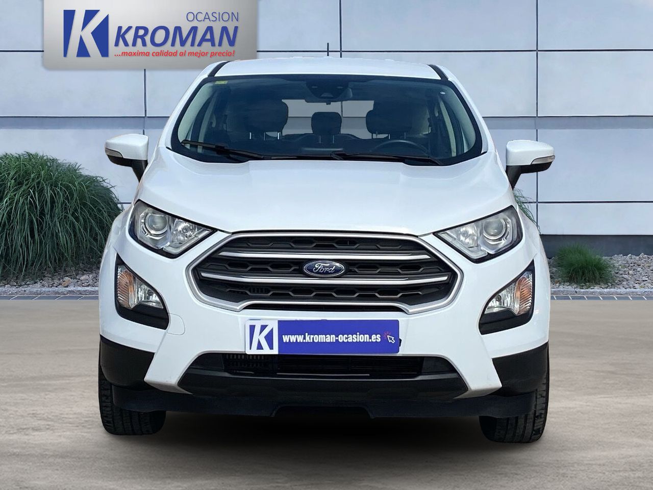 ford ecosport 2020 / foto grande (2)