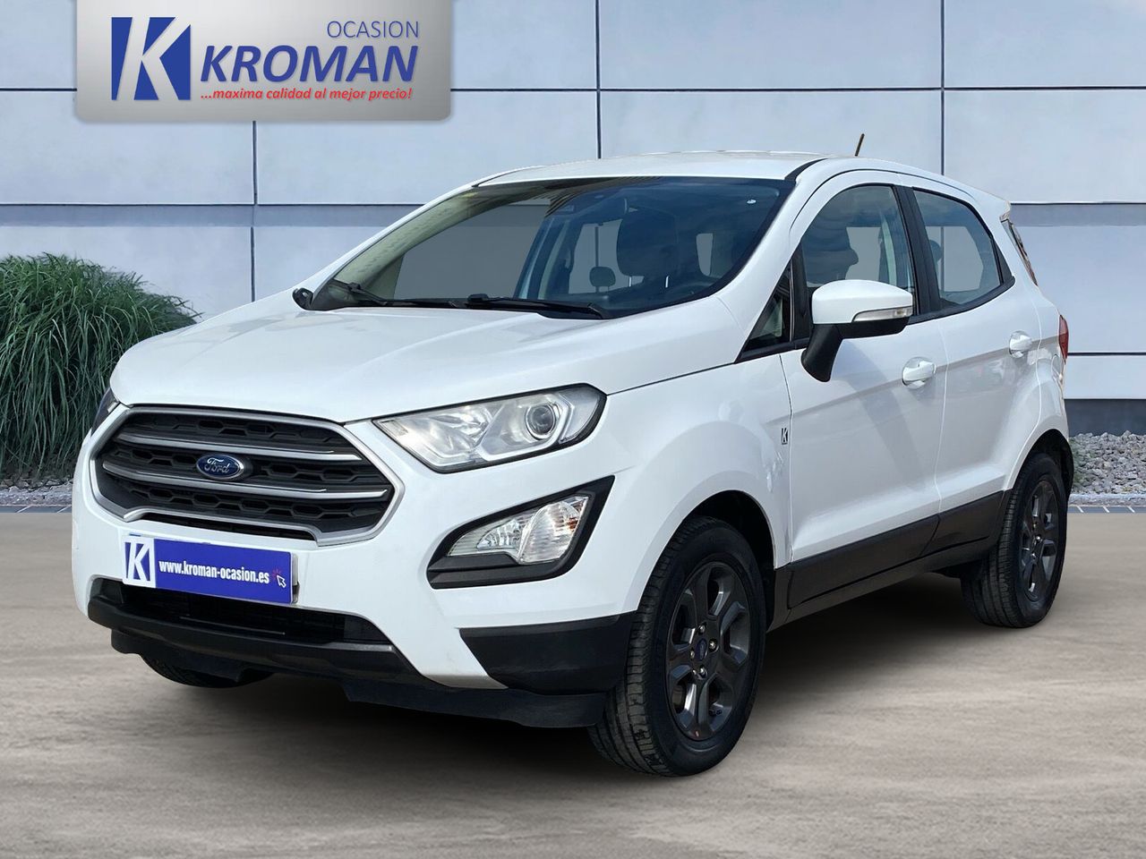 ford ecosport 2020 / foto grande (3)