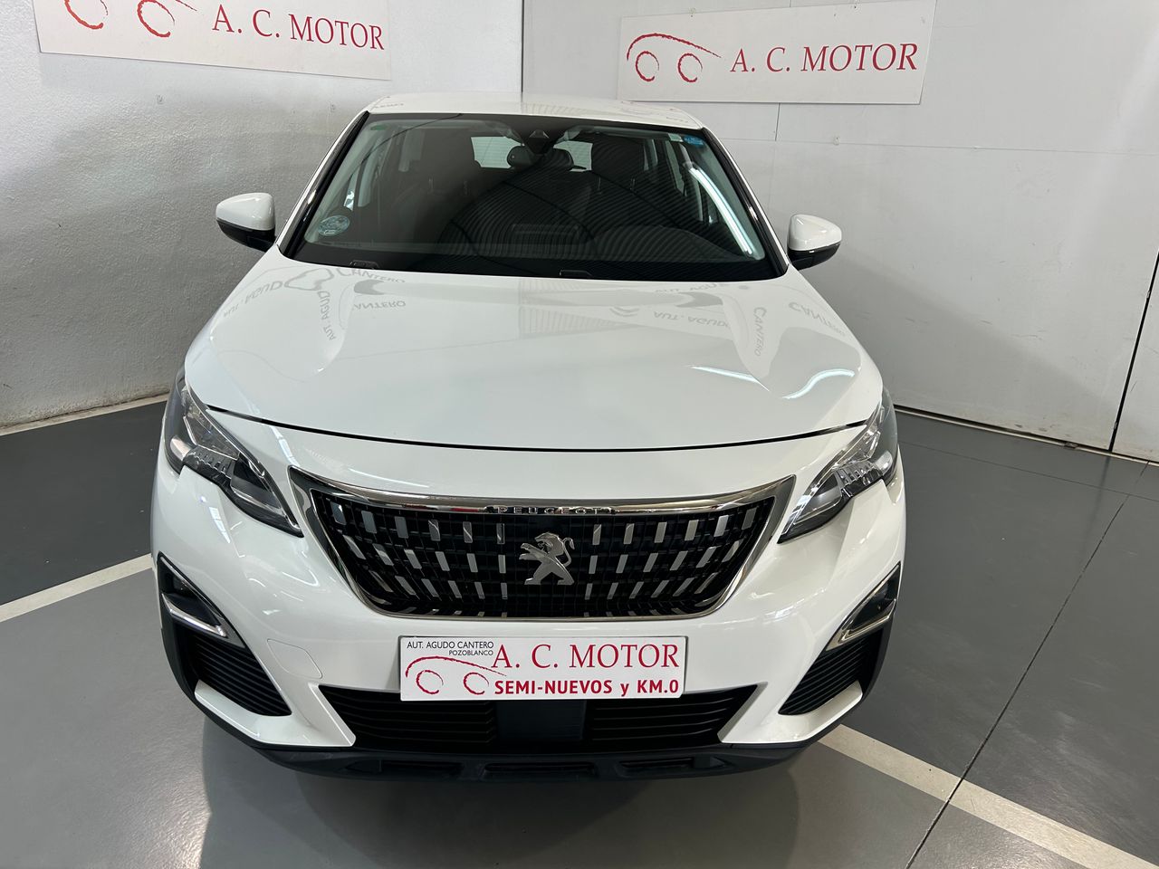 peugeot 3008 2019 / foto grande (2)
