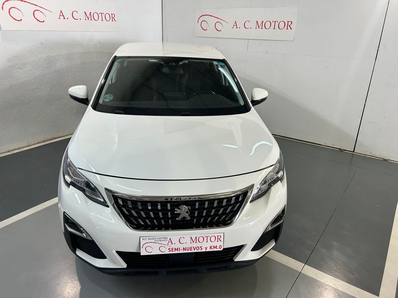 peugeot 3008 2019 / foto grande (3)