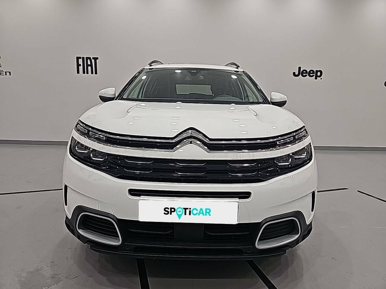 citroën c5 aircross 2020 / foto grande (2)