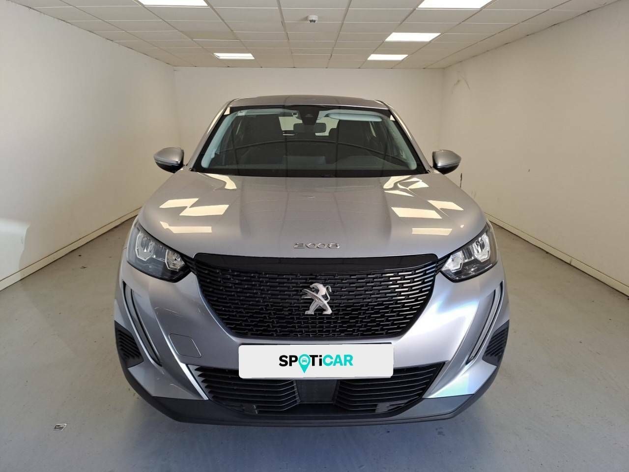 peugeot 2008 2020 / foto grande (2)