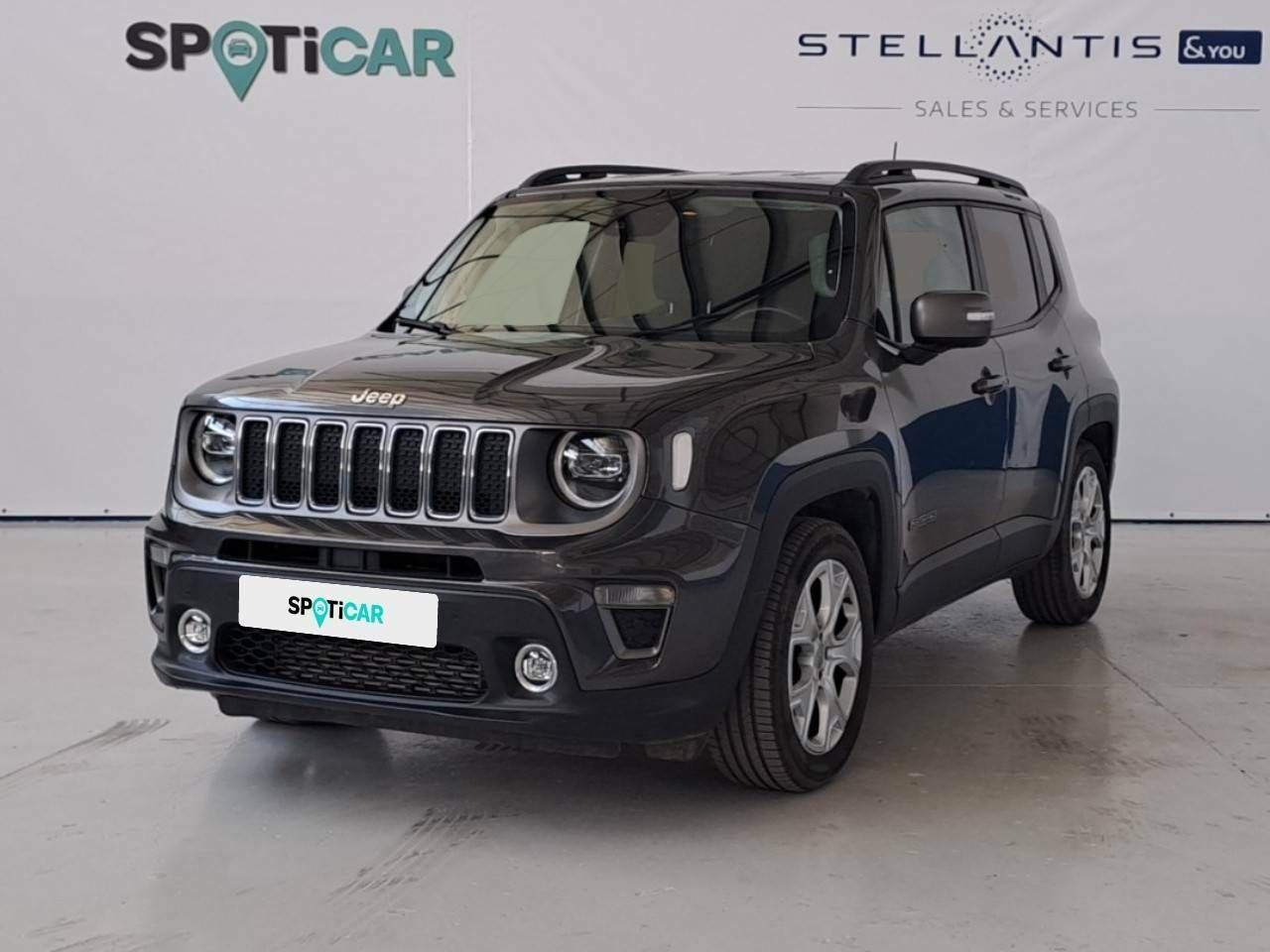 jeep renegade 2019 /
