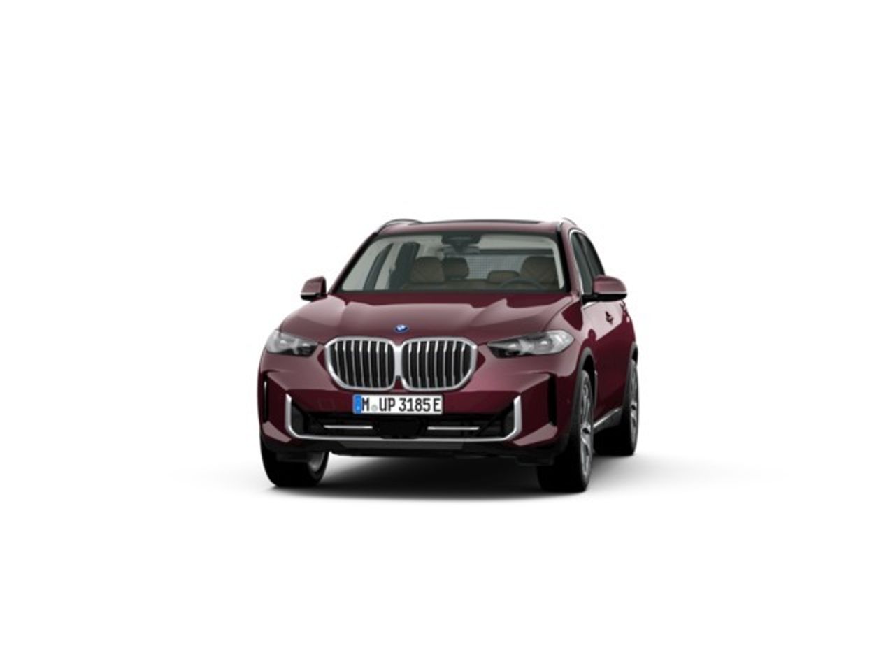 bmw x5 2025 /