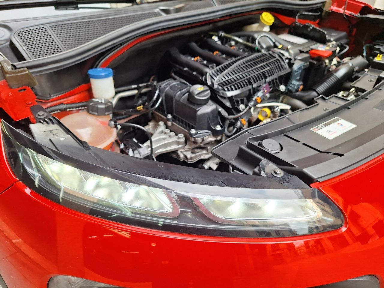 Citroën C4 Cactus PureTech 82 Feel Edition Etiq. verde C  Euro 6 - Foto 13