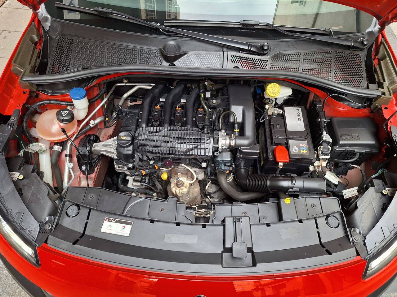 Citroën C4 Cactus PureTech 82 Feel Edition Etiq. verde C  Euro 6 - Foto 5