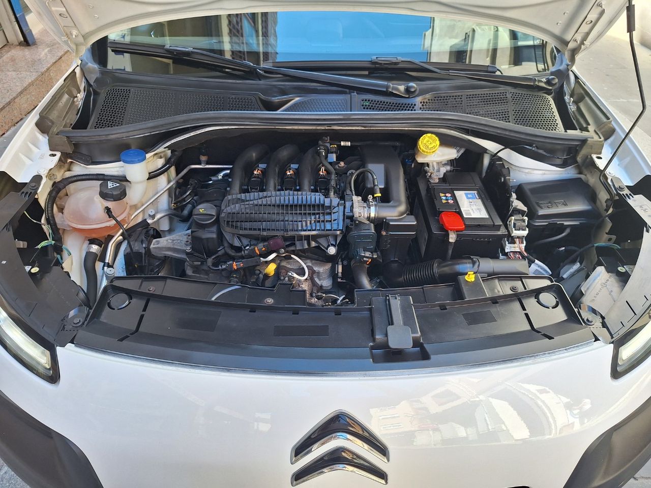 Citroën C4 Cactus PureTech 82 Feel Etiq. verde C  Euro 6 - Foto 5