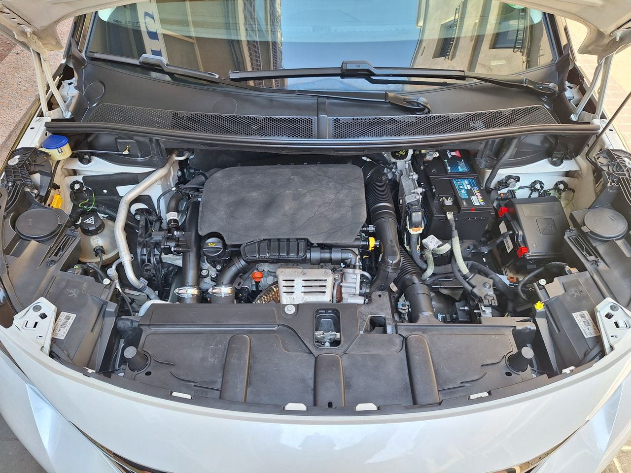 Kia Sportage 1.6 GDi 135 CV X-Tech 4x2 Eco-Dynamics - Foto 7