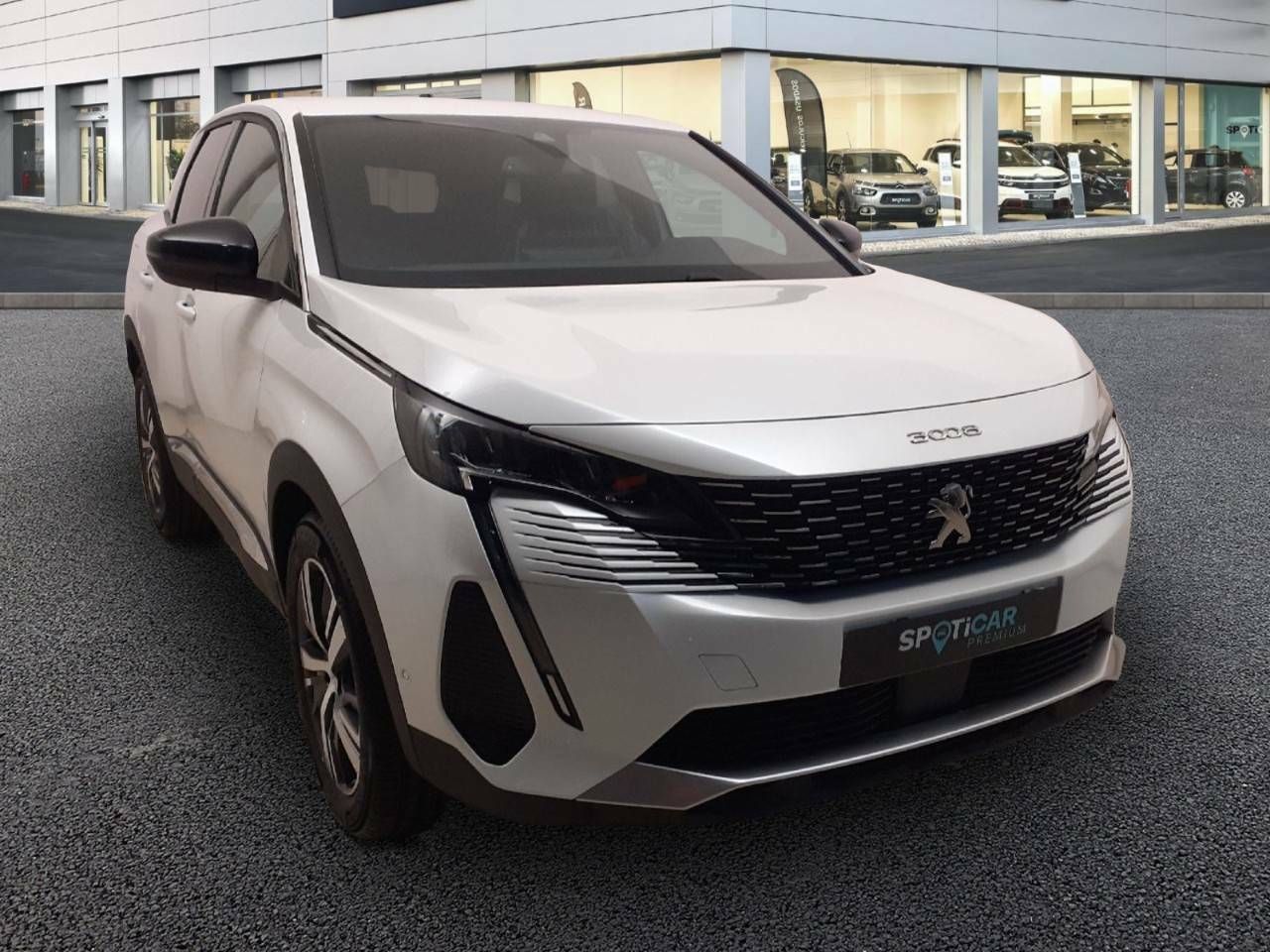 peugeot 3008 2023 / foto grande (3)