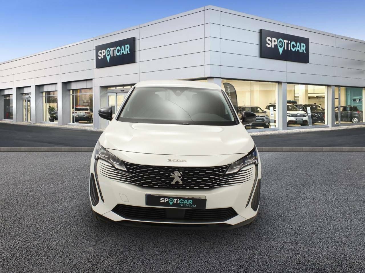 peugeot 3008 2022 / foto grande (2)