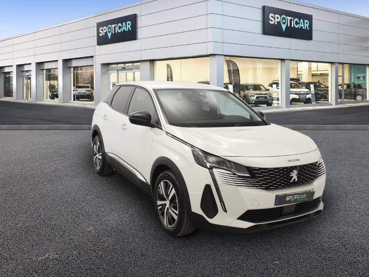 peugeot 3008 2022 / foto grande (3)