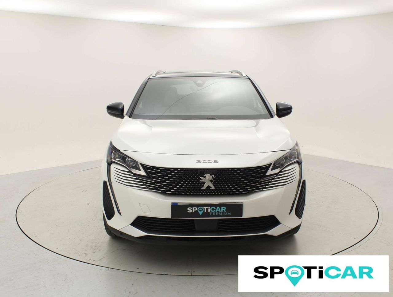 peugeot 3008 2020 / foto grande (2)