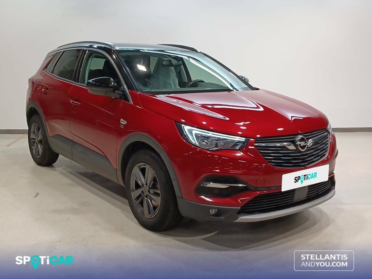 opel grandland x 2019 / foto grande (3)