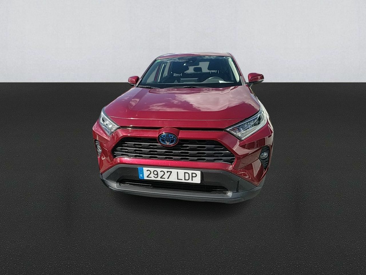 toyota rav4 2019 / foto grande (2)