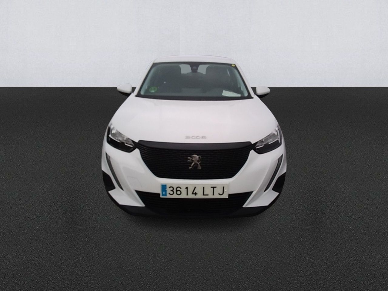 peugeot 2008 2021 / foto grande (2)