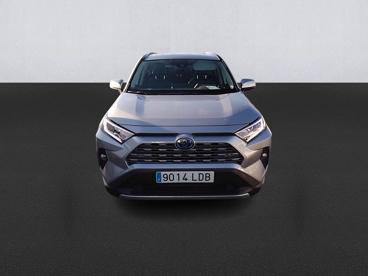 toyota rav4 2019 / foto grande (2)