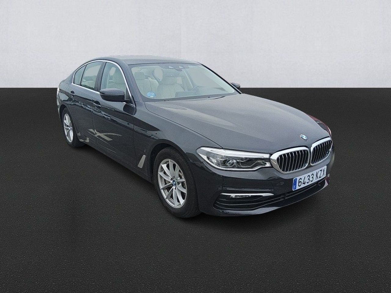 bmw serie 5 2019 / foto grande (3)