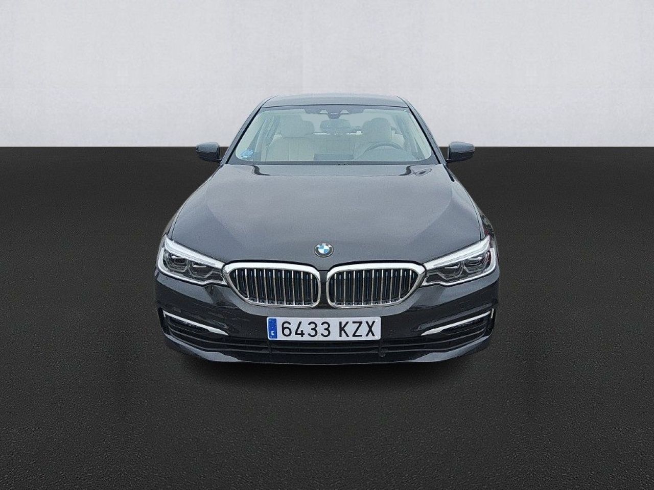 bmw serie 5 2019 / foto grande (2)