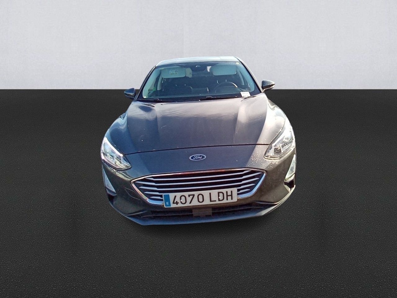 ford focus 2019 / foto grande (2)
